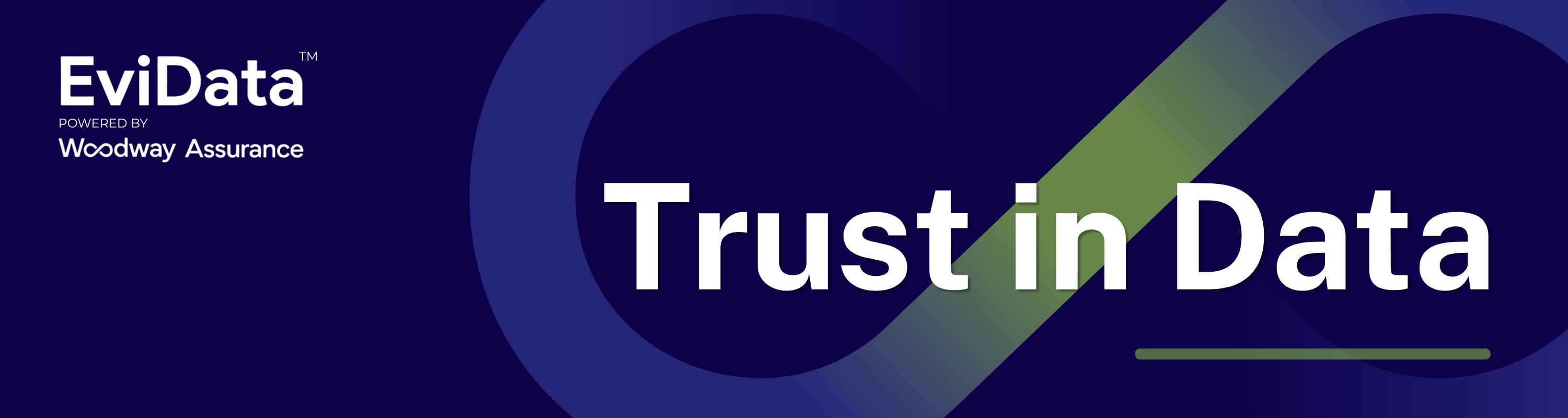 EviData | Independent Data Privacy Risk Assessment